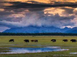 Mongolian Beautiful nature