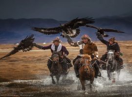 Mongolia Eagle hunting