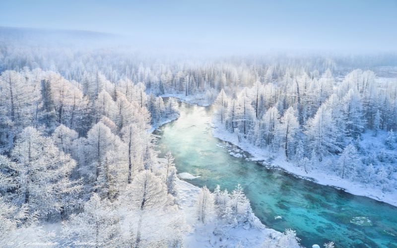 Mongolia winter wonderland