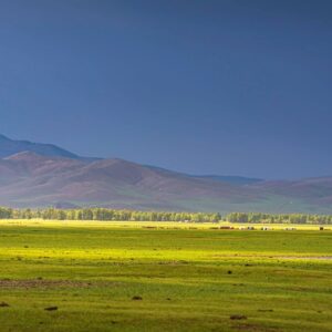 Horse trekking in Mongolia