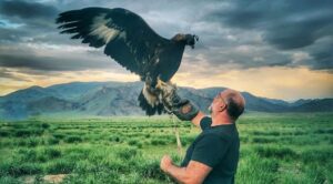 Mongolian eagle hunting