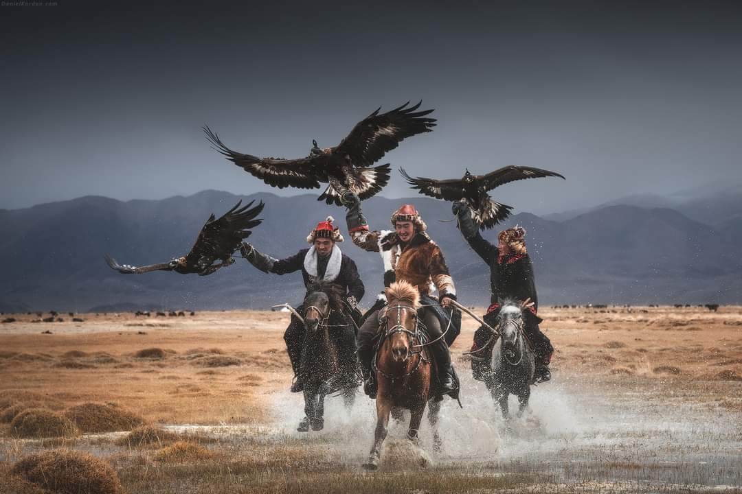 Hunter eagles and eagle trainers Mongolia