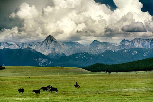 Darkhad valley and Taiga forest in the distance