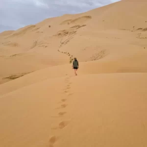 Mongolian gobi desert