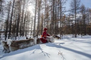 Mongolian winter trip