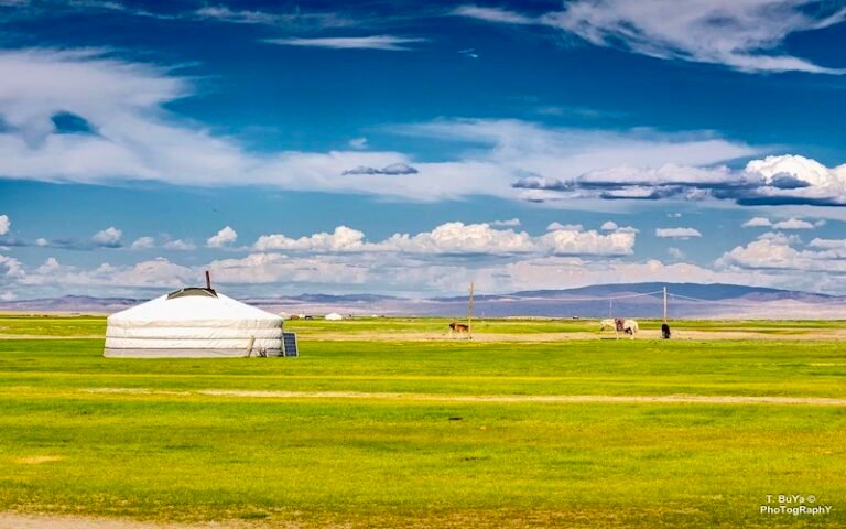 Traditional Mongolian ger of a nomadic family in the Orkhon Valley surrounded by green steppe, grazing horses, and distant mountain ranges.